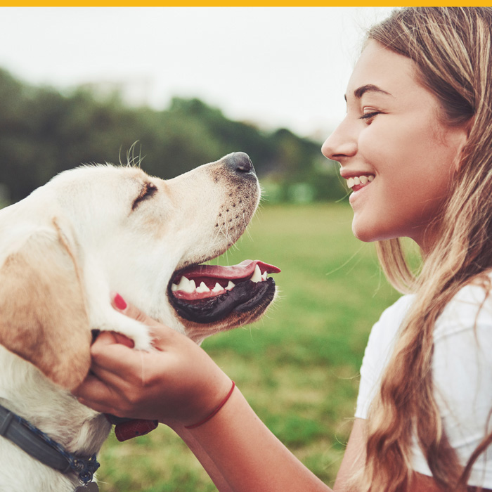 Croc Blanc : dressage chien dans les Hauts-de-Seine (92), Yvelines (78), Paris (75) & Val-d’Oise (95)